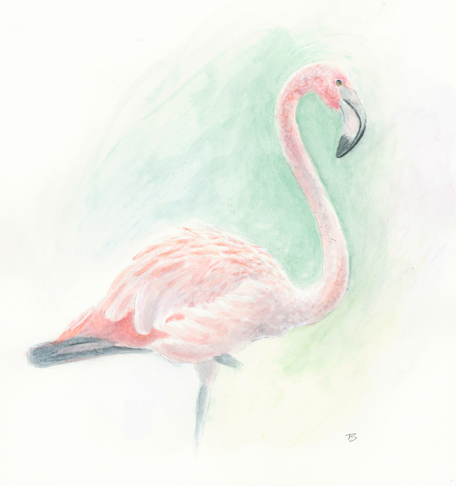 Animal Watercolors